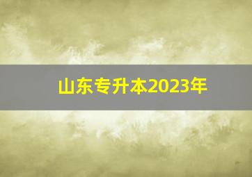 山东专升本2023年