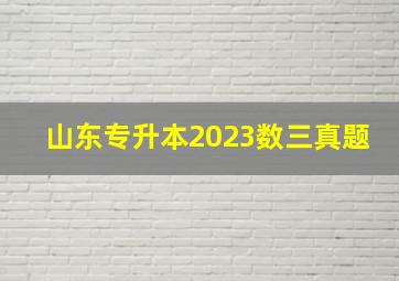 山东专升本2023数三真题