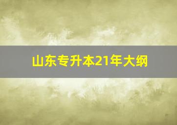 山东专升本21年大纲