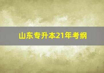 山东专升本21年考纲