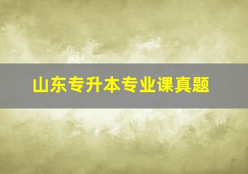 山东专升本专业课真题