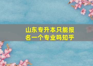 山东专升本只能报名一个专业吗知乎