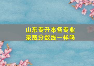 山东专升本各专业录取分数线一样吗