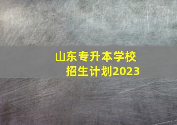 山东专升本学校招生计划2023