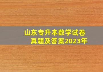 山东专升本数学试卷真题及答案2023年