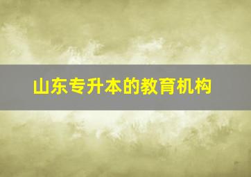 山东专升本的教育机构