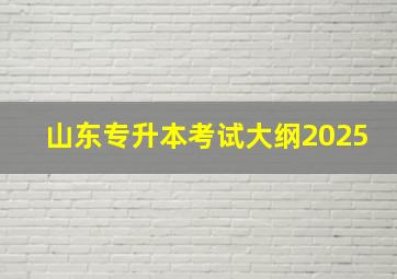 山东专升本考试大纲2025