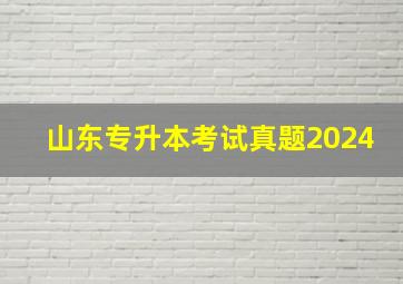 山东专升本考试真题2024