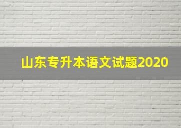 山东专升本语文试题2020