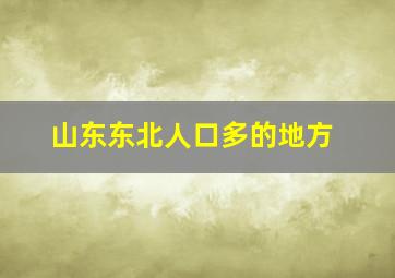 山东东北人口多的地方