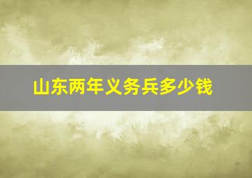 山东两年义务兵多少钱