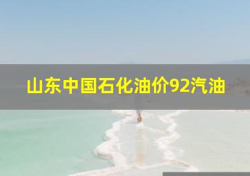 山东中国石化油价92汽油