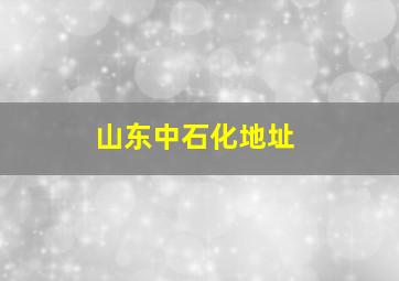 山东中石化地址