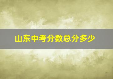 山东中考分数总分多少