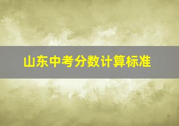 山东中考分数计算标准