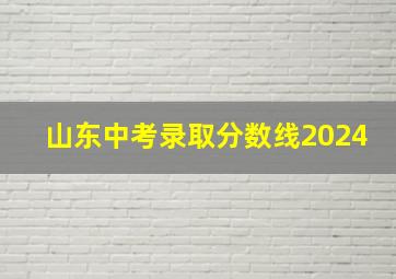 山东中考录取分数线2024