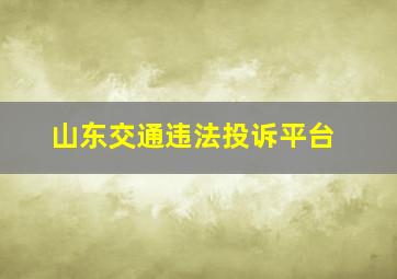 山东交通违法投诉平台