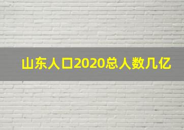 山东人口2020总人数几亿