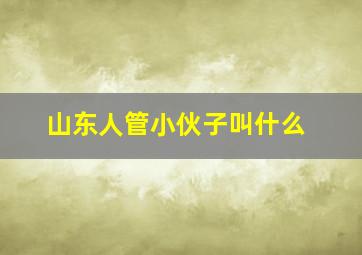 山东人管小伙子叫什么