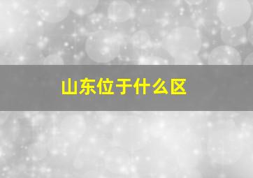 山东位于什么区