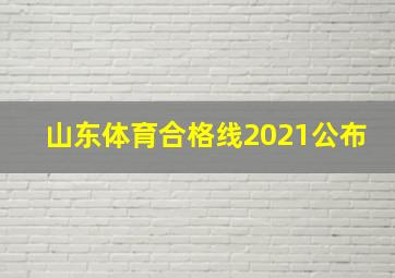 山东体育合格线2021公布