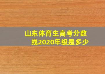 山东体育生高考分数线2020年级是多少