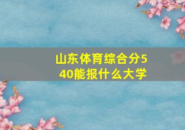 山东体育综合分540能报什么大学