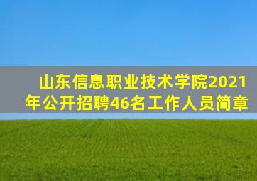 山东信息职业技术学院2021年公开招聘46名工作人员简章