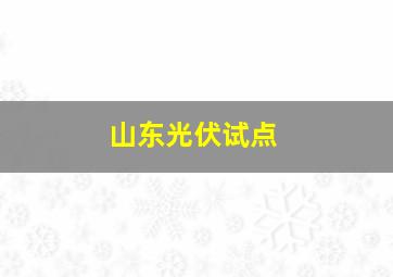 山东光伏试点