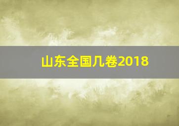 山东全国几卷2018