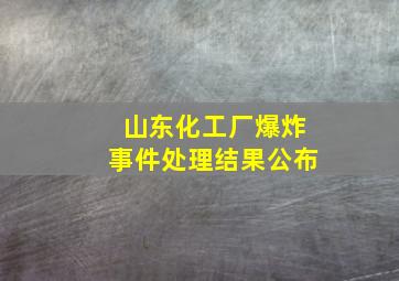 山东化工厂爆炸事件处理结果公布