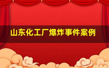 山东化工厂爆炸事件案例