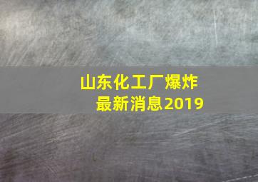 山东化工厂爆炸最新消息2019