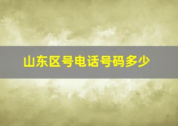 山东区号电话号码多少