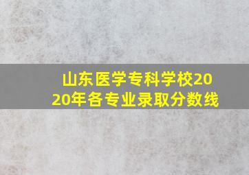 山东医学专科学校2020年各专业录取分数线