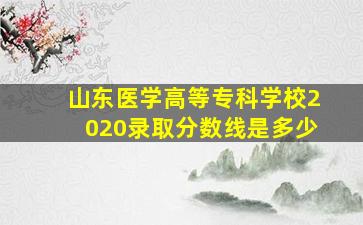 山东医学高等专科学校2020录取分数线是多少