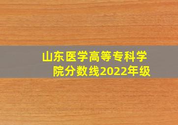 山东医学高等专科学院分数线2022年级