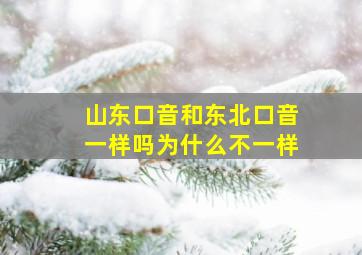 山东口音和东北口音一样吗为什么不一样