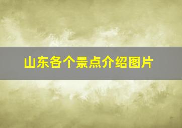 山东各个景点介绍图片