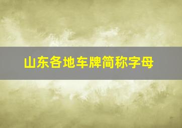 山东各地车牌简称字母