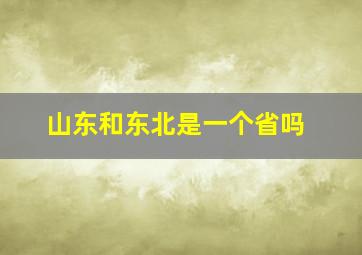 山东和东北是一个省吗