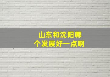 山东和沈阳哪个发展好一点啊