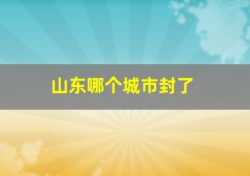 山东哪个城市封了