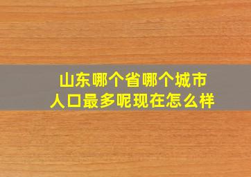 山东哪个省哪个城市人口最多呢现在怎么样