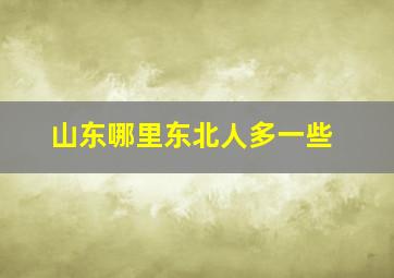 山东哪里东北人多一些