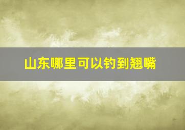 山东哪里可以钓到翘嘴