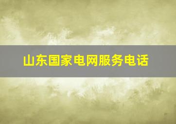 山东国家电网服务电话