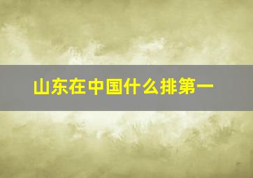 山东在中国什么排第一