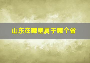 山东在哪里属于哪个省