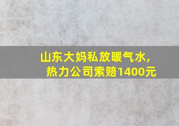 山东大妈私放暖气水,热力公司索赔1400元